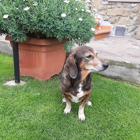 Bed & Breakfast Retro' Beb La Spezia