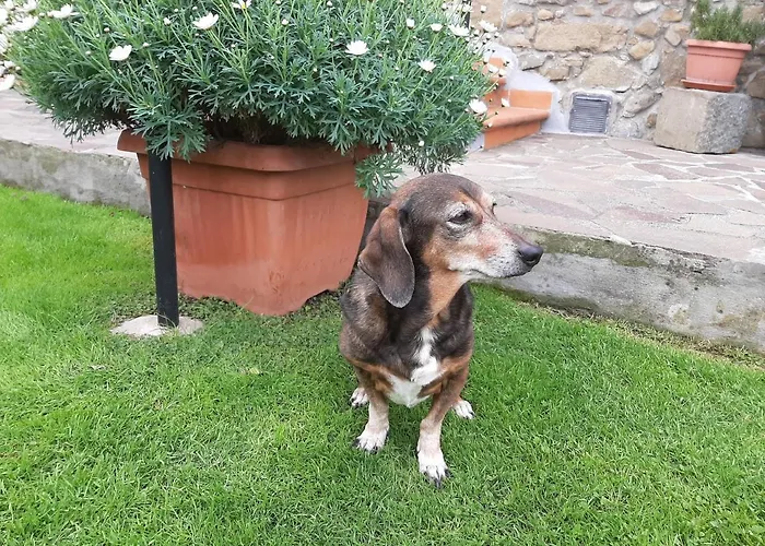 Bed & Breakfast Retro' Beb La Spezia